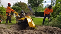 Stump removal