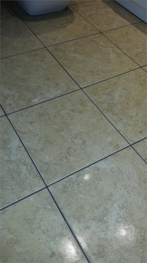 Re grouting Floor Tiles