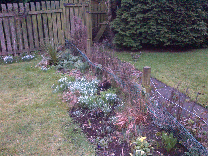 New Fence installed