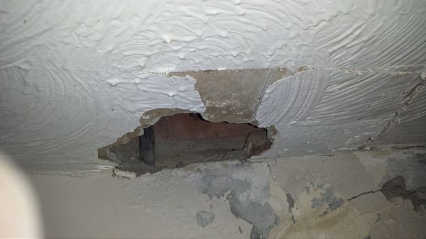 Ceiling Repair
