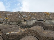 Crest Planum Double Roman Project