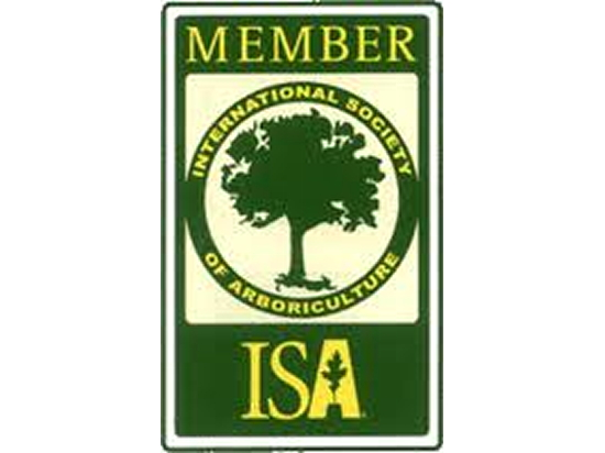Proud Members