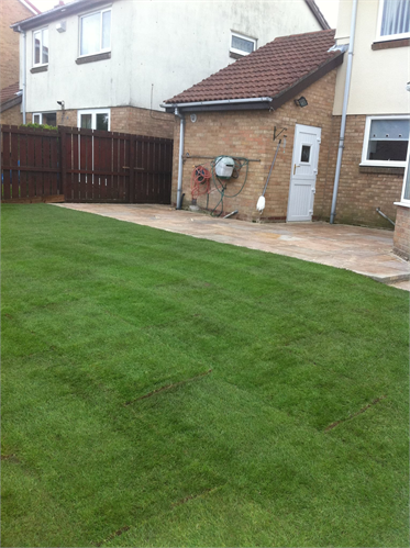 Woodlea Paving Services