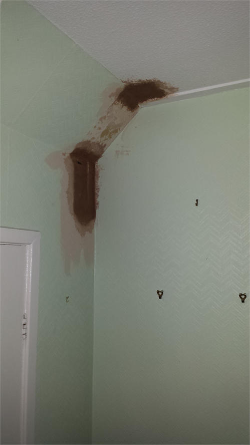 Plastering