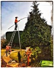 Tree Pruning