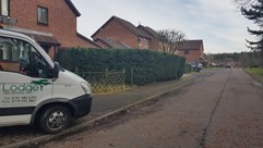 Hedge Trimming