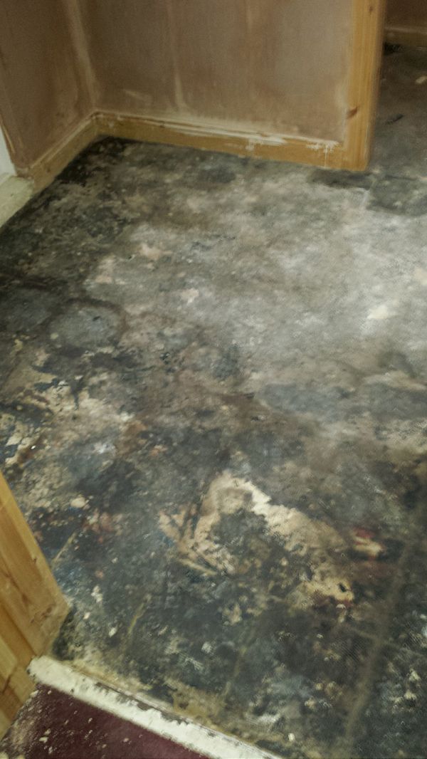 Tile Removal