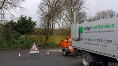 Tree Pruning