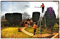 Tree Pruning