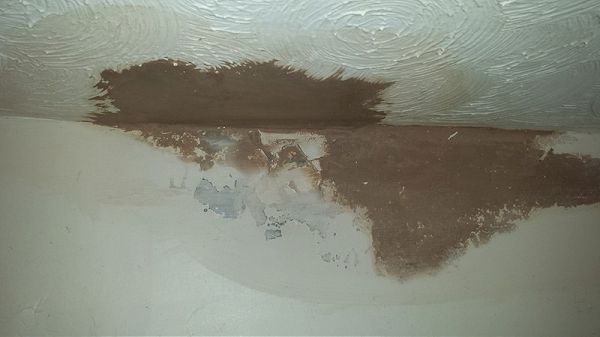 Ceiling Repair