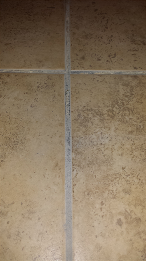 Re grouting Floor Tiles