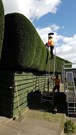 Hedge Trimming