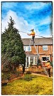 Tree Pruning