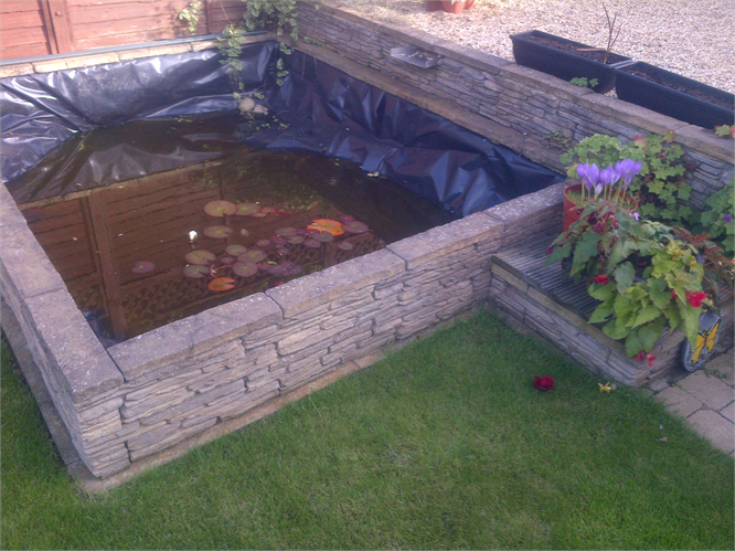 pond