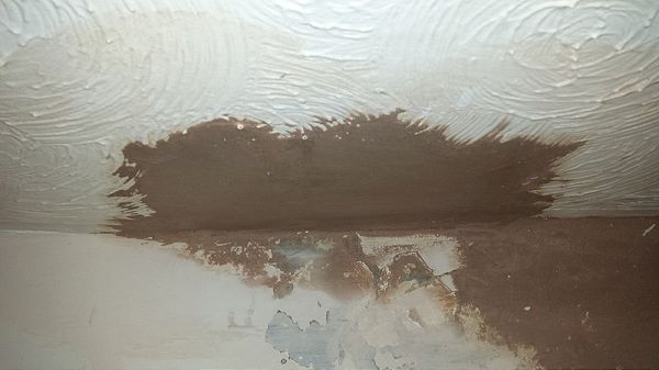Ceiling Repair