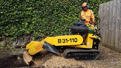 Stump Removal