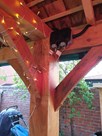 Gazebo Lighting & Heating