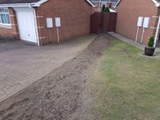 Stump Removal