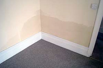 Rising Damp