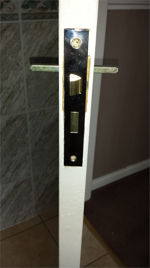 Privacy Lock