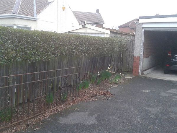 fencing