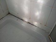Mouldy silicone