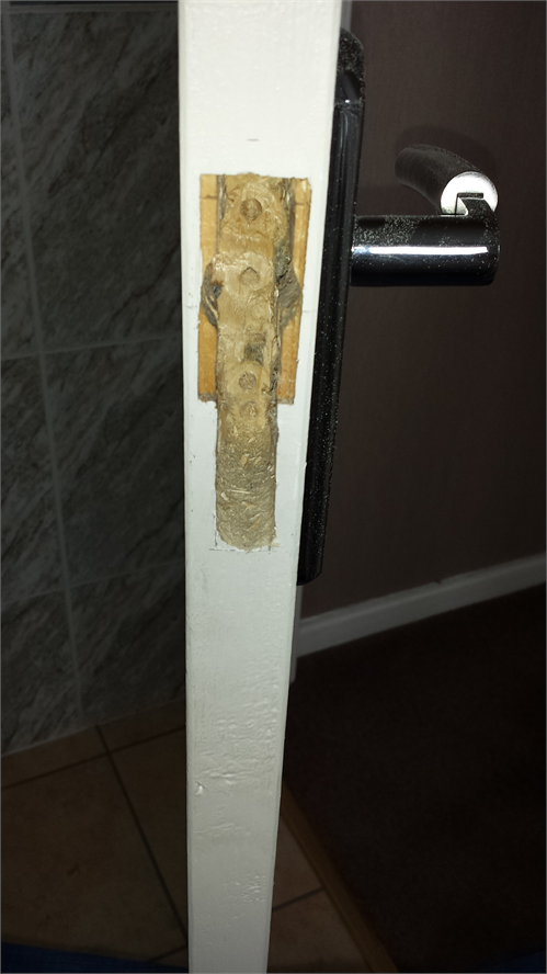 Privacy Lock