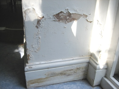 Damp Proofing